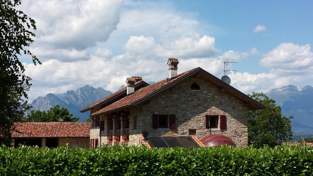 Agriturismo Casteldardo Guest House Trichiana Exterior photo